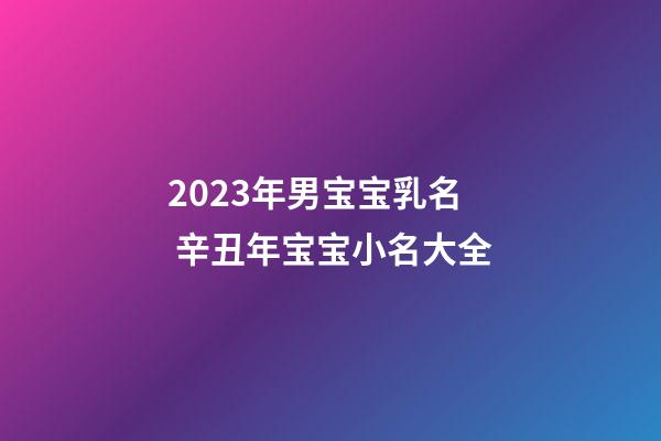 2023年男宝宝乳名 辛丑年宝宝小名大全